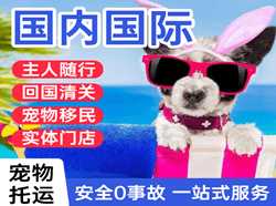 乌拉特中旗海流图空运代理国际宠物托运 【国